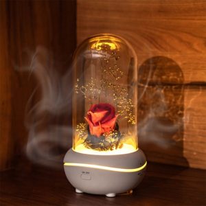 Preserved Rose Lamp Christmas LED Rose Lamps Aromatherapy Mechine Aroma Essential Oil Diffuser Unique Present for Birthday Gift